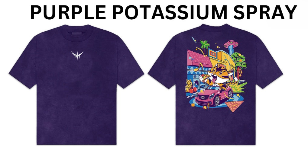 BEOMHAN - ‘Welcome to Hollywood’ Official Collection - Pizza Tiger T-Shirt