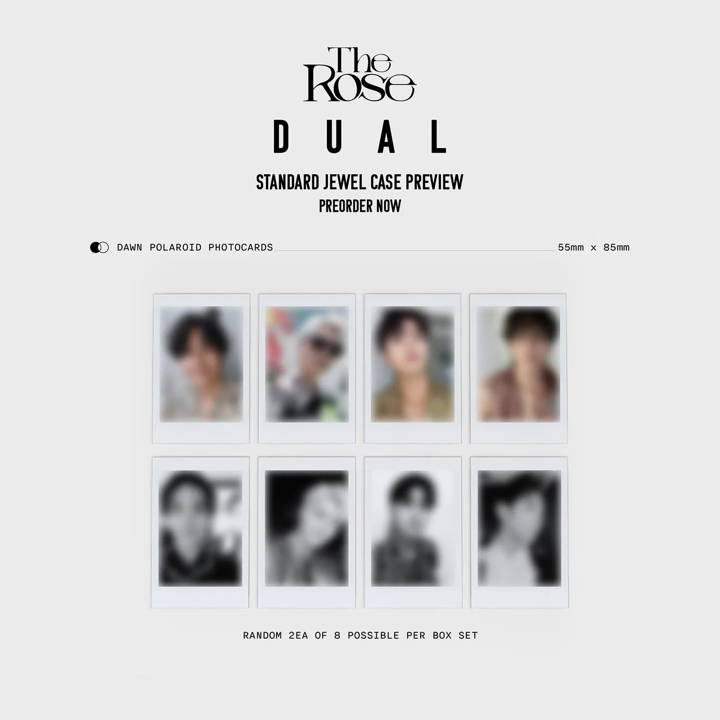 THE ROSE - 2nd Full Album 'DUAL' (Jewel Case) (DAWN Version)