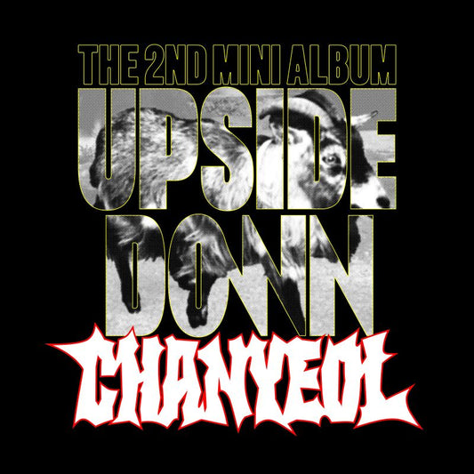 [PRE-ORDER] EXO - Chanyeol - 2nd Mini-Album 'Upside Down' (SMini ver.)