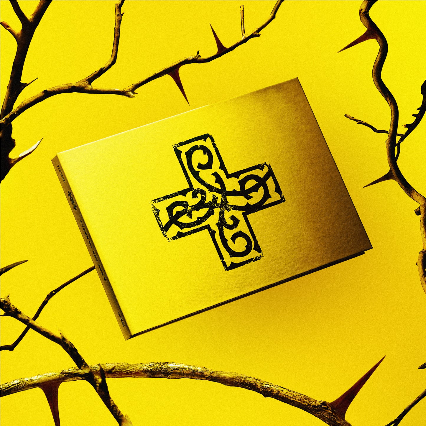 [PRE-ORDER] TXT - '7TH YEAR: A Moment of Stillness in the Thorns' (Standard ver.) [RANDOM MEMBER SIGNED]