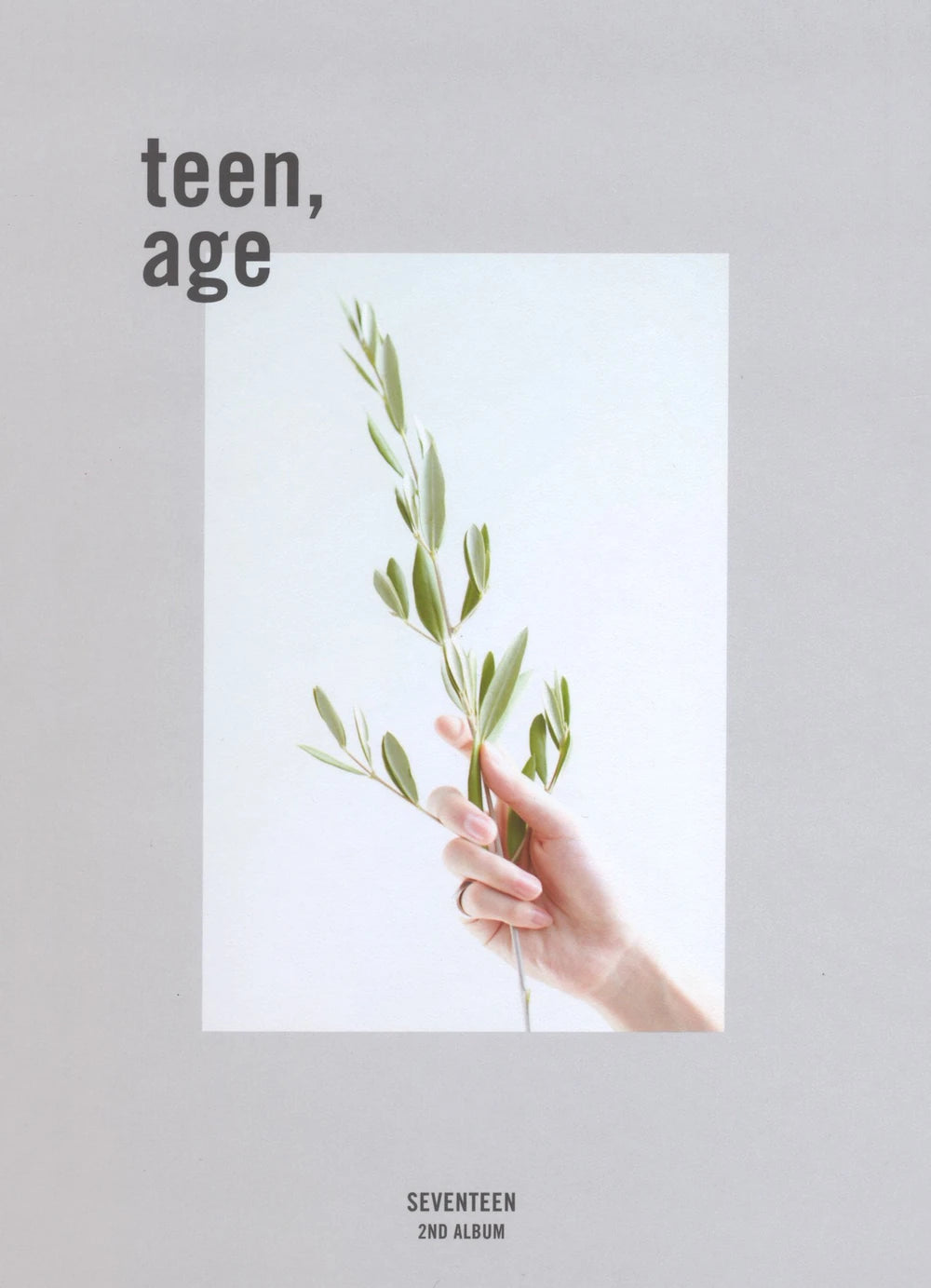 Seventeen 세븐틴 - 2nd Album 'TEEN, AGE' (Re-Release)