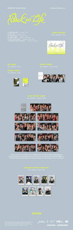 &TEAM - 1st Korean Mini Album - 'Back to Life' (Weverse Albums ver.)
