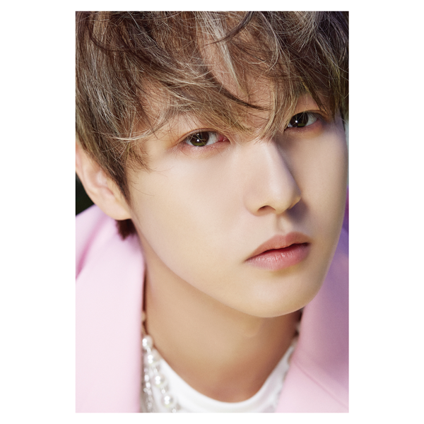 [FINAL SALE] NCT DREAM - DICON D'FESTA 10th Anniversary (PHOTOBOOK ONLY)