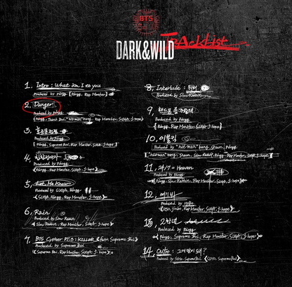 BTS 방탄소년단 - 1st Full Length Album 'DARK&WILD'